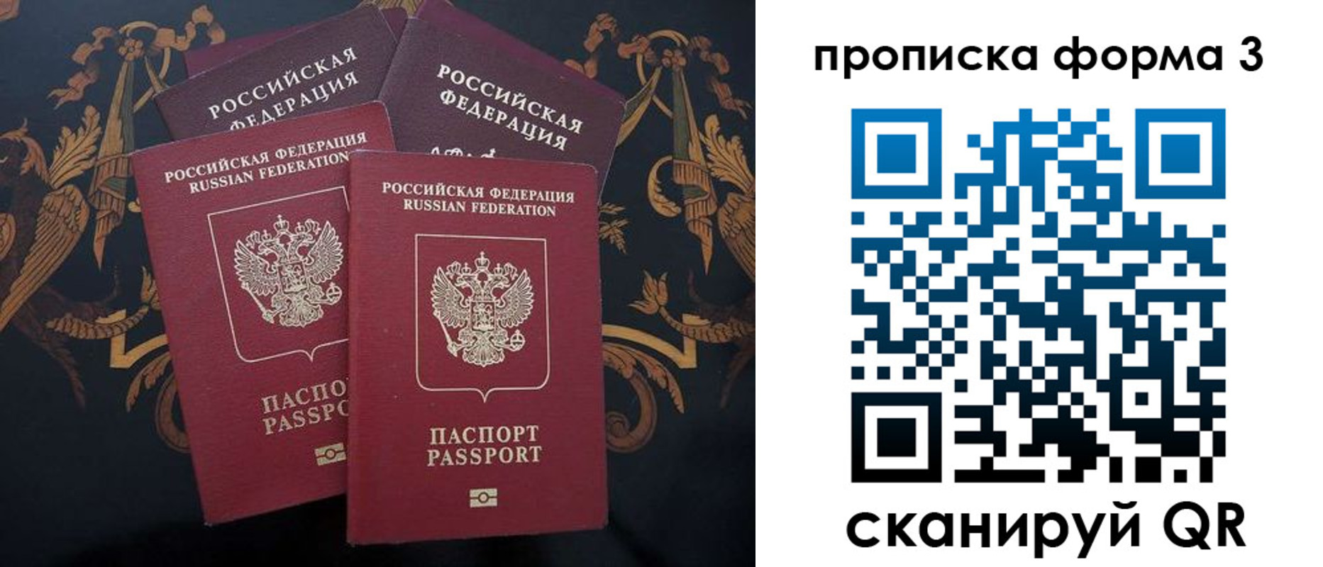 прописка законно в Каргополе